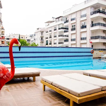 Flamingo